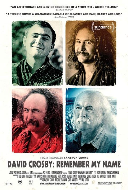 David Crosby: Remember My Name : Kinoposter