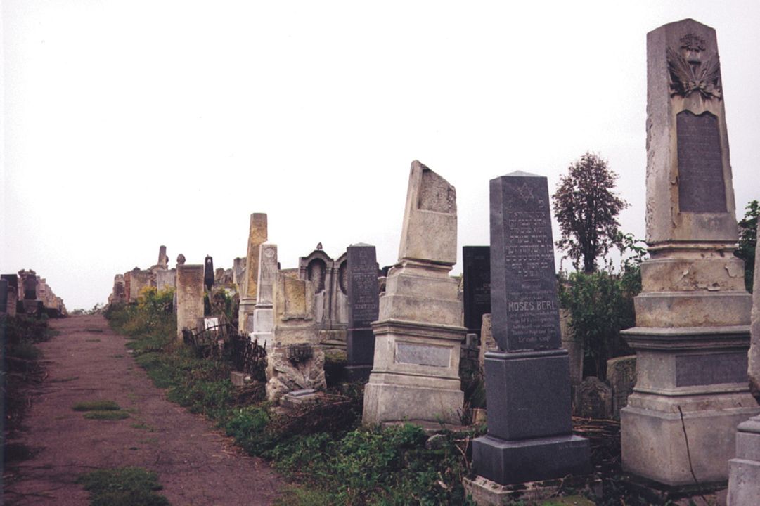 Herr Zwilling und Frau Zuckermann : Bild