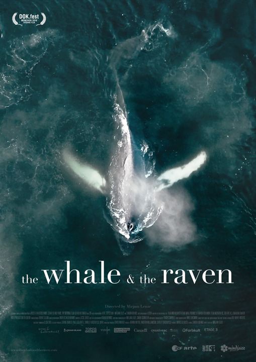 The Whale And The Raven : Kinoposter