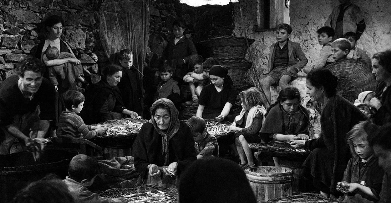 Die Erde bebt : Bild