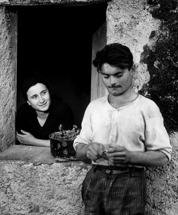 Die Erde bebt : Bild