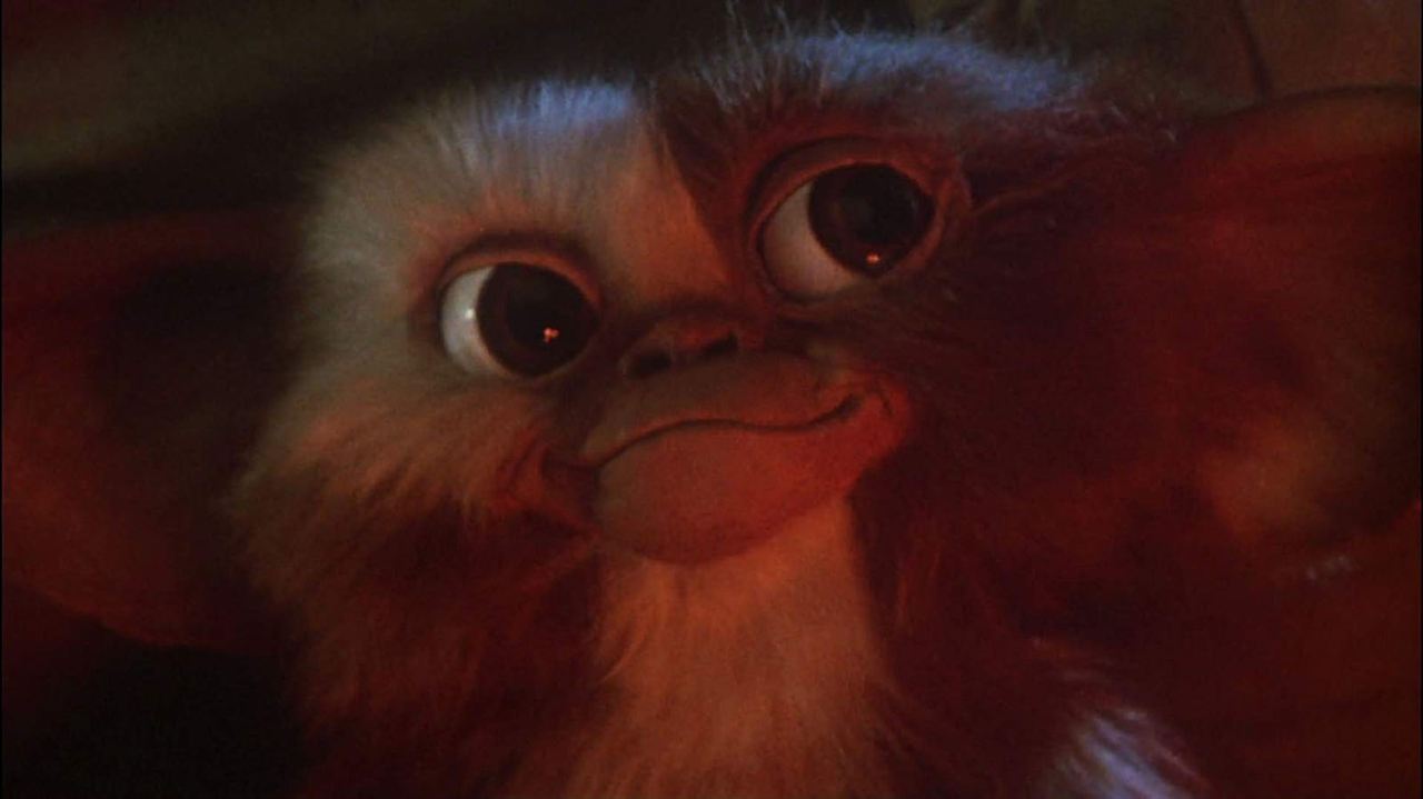 Gremlins - Kleine Monster : Bild