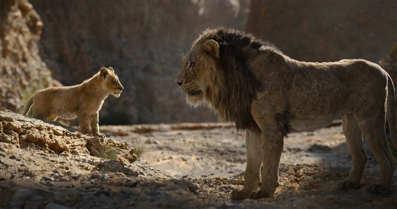 Der König der Löwen : Bild