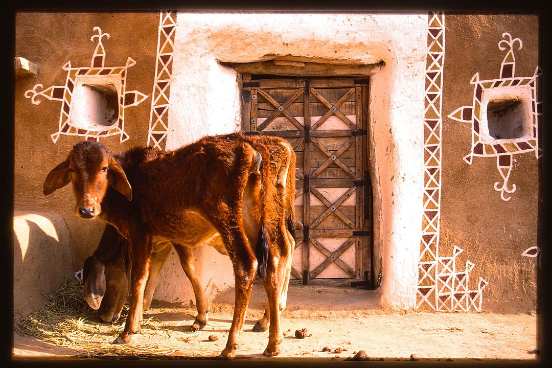 Princes et Vagabonds : Bild