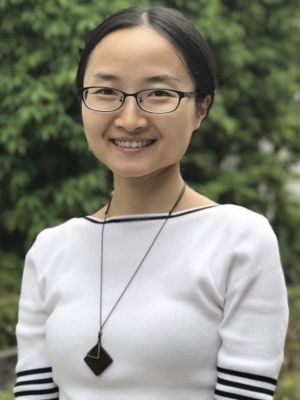 Kinoposter Mijie Li