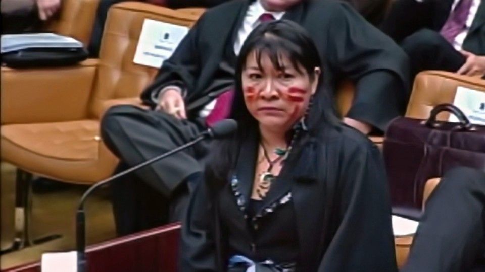 Vozes da Floresta : Bild