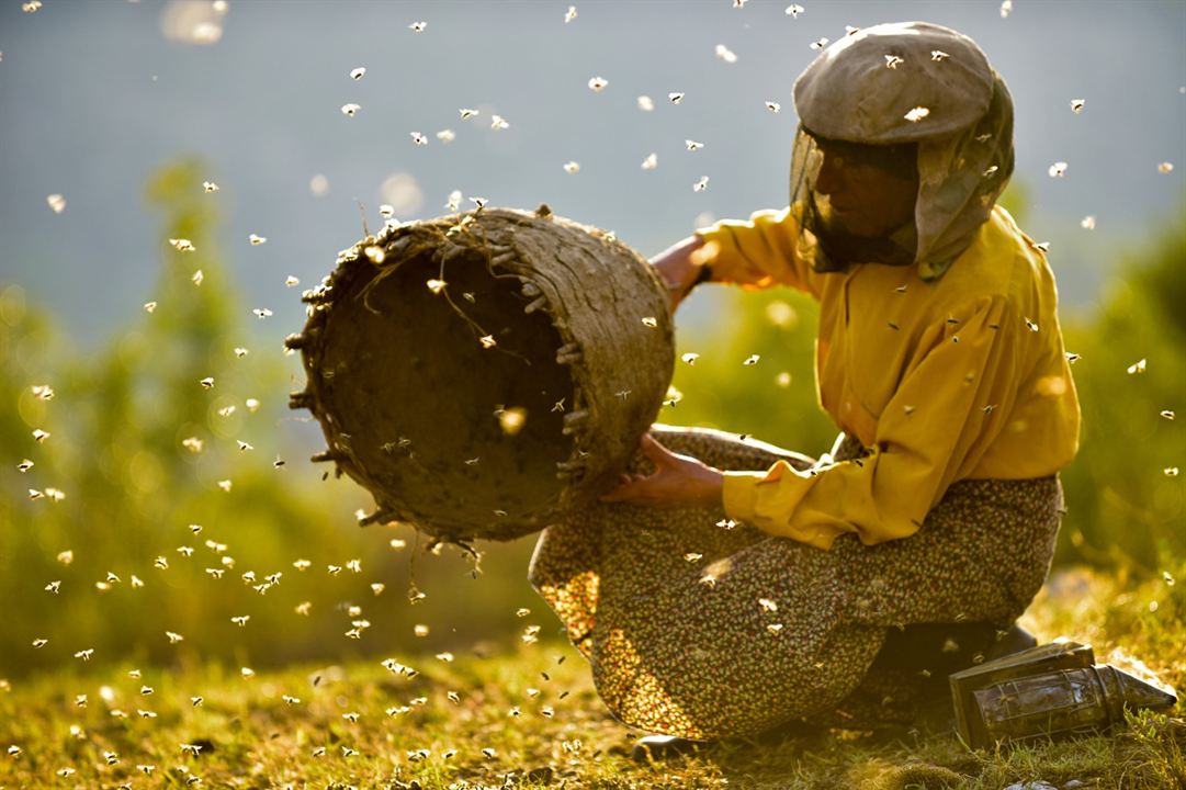 Land des Honigs : Bild