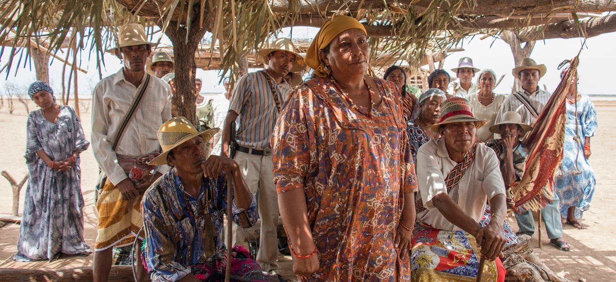 Birds of Passage - Das grüne Gold der Wayuu : Bild