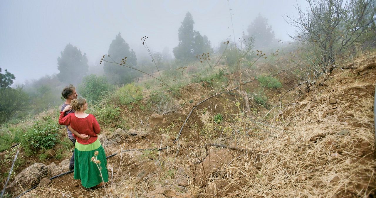 But Beautiful : Bild