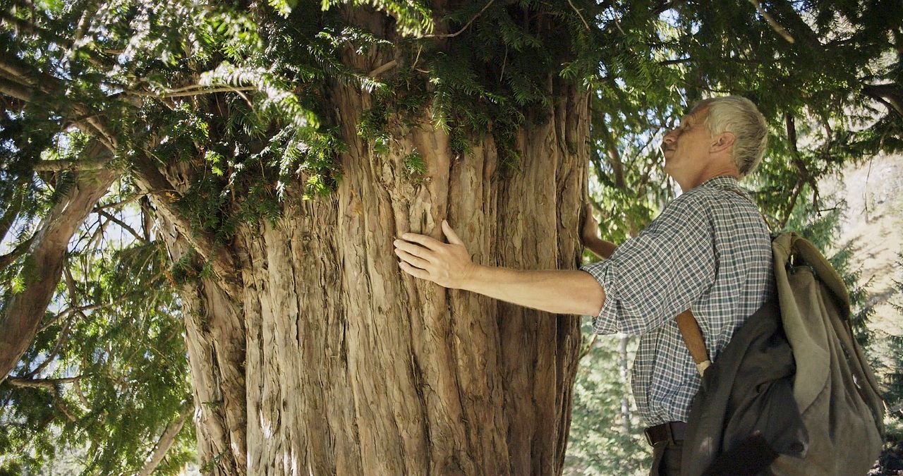 But Beautiful : Bild