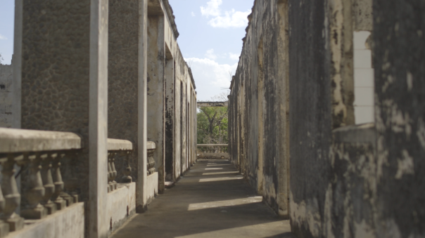 Heredera Del Viento : Bild