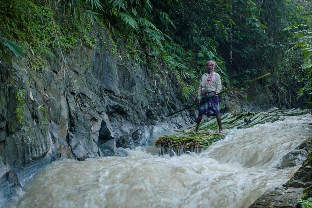 Bamboo Stories : Bild