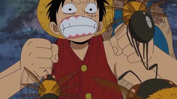 One Piece : Bild