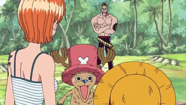 One Piece : Bild