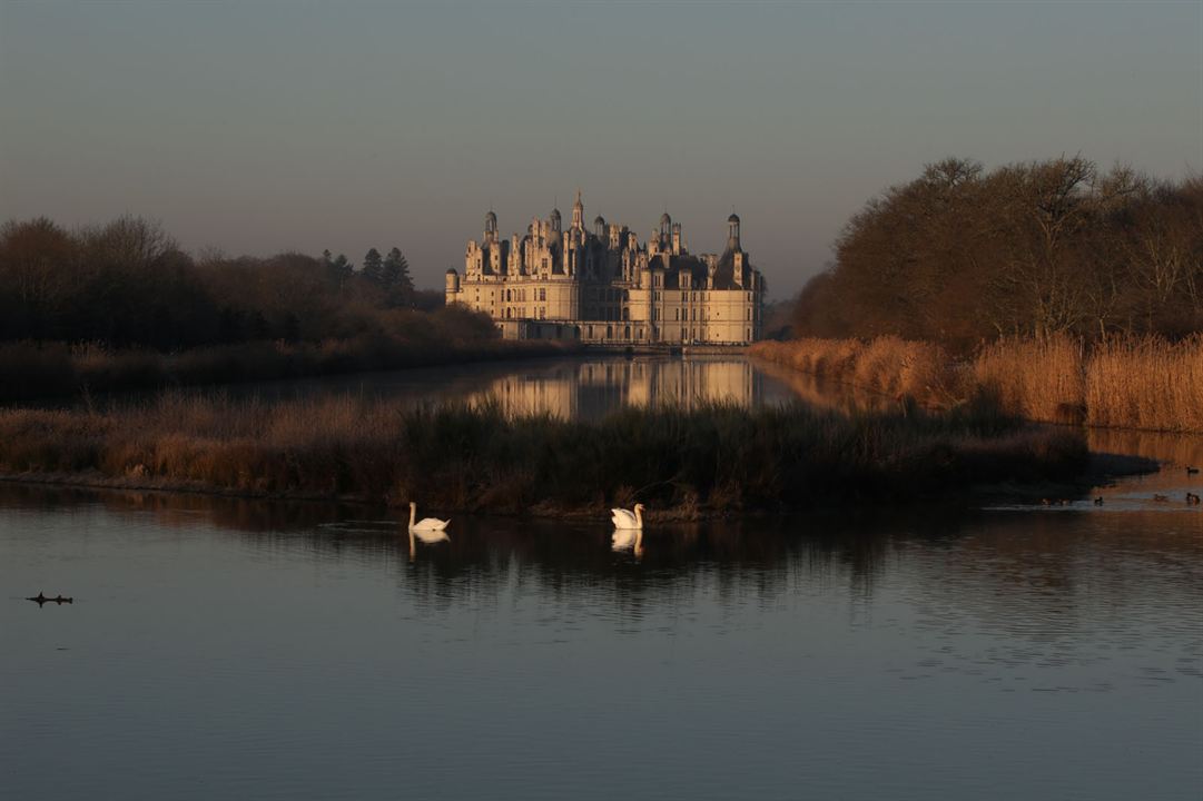 Chambord - Then, Now And Forever : Bild