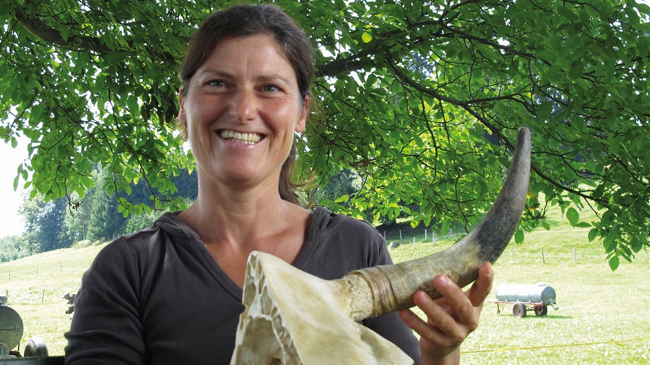 Aus Liebe zum Überleben : Bild