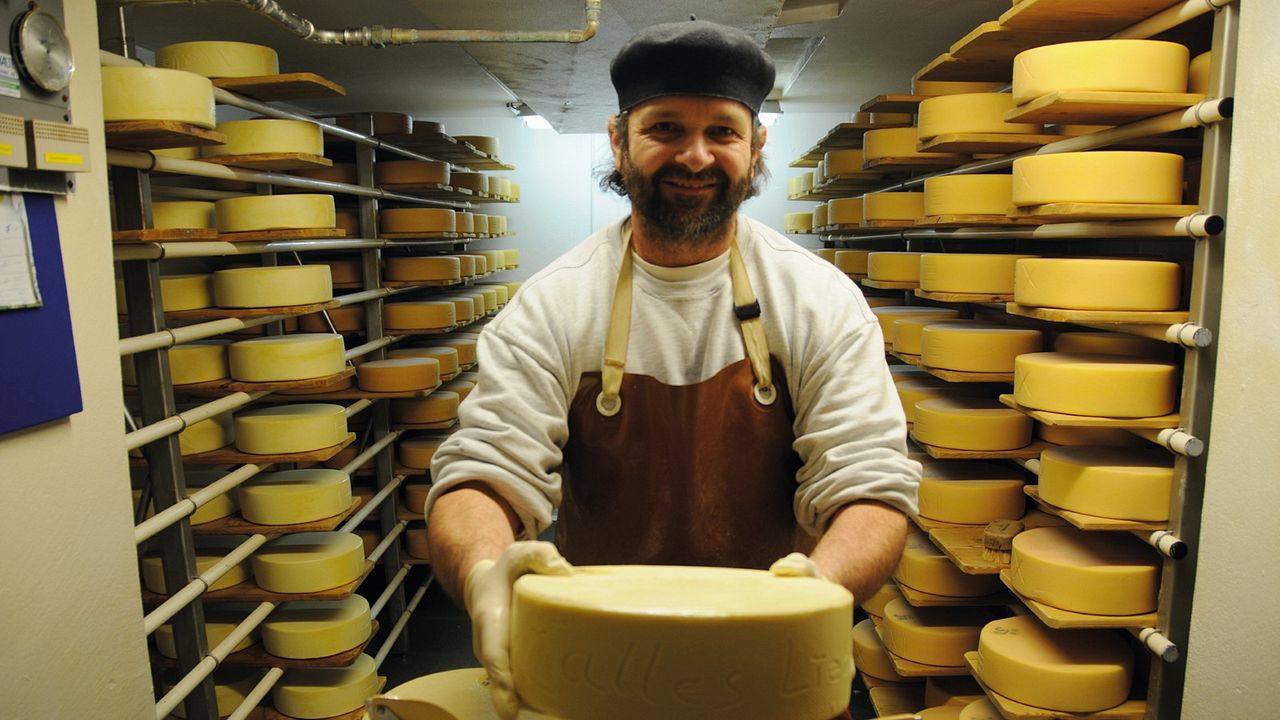 Aus Liebe zum Überleben : Bild