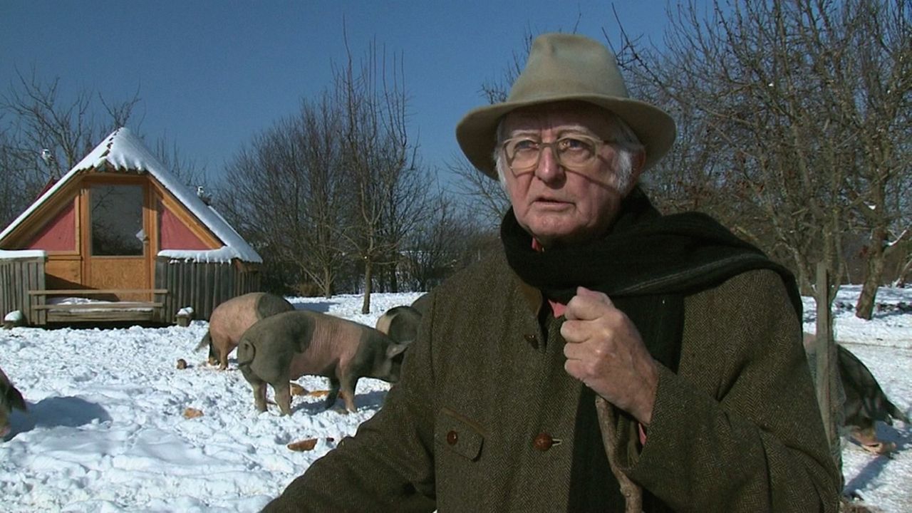 Aus Liebe zum Überleben : Bild