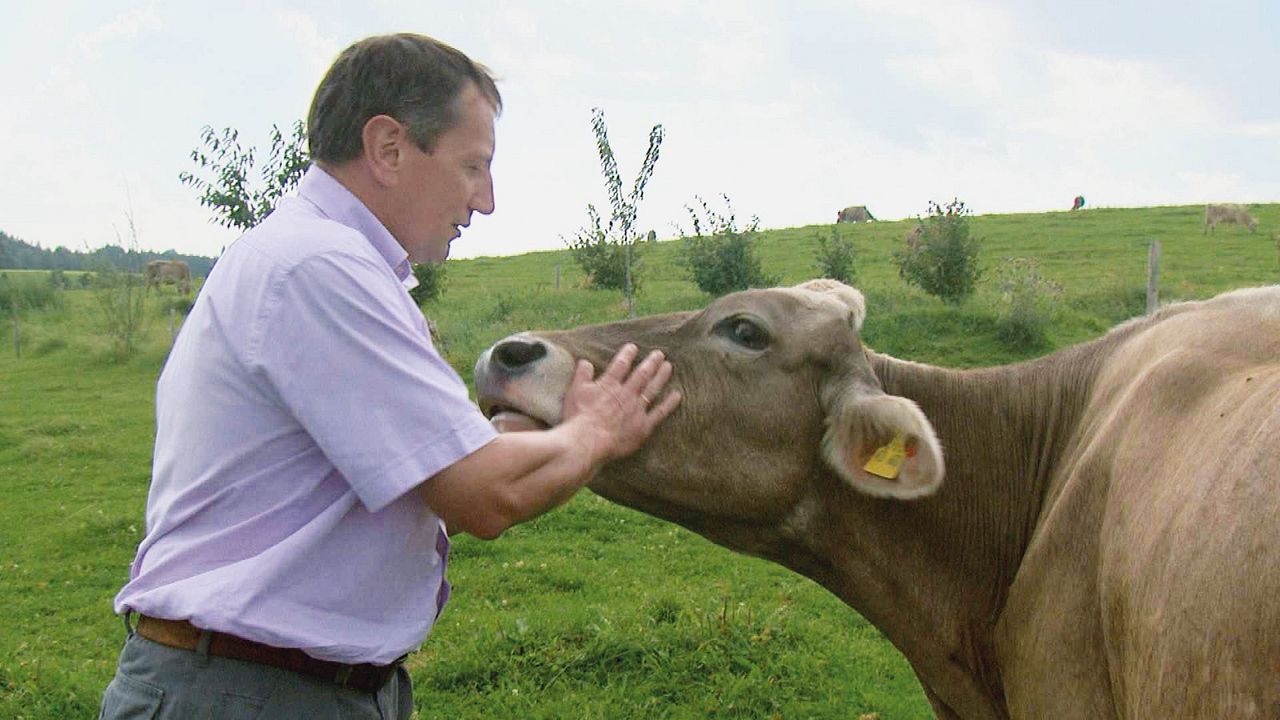 Aus Liebe zum Überleben : Bild