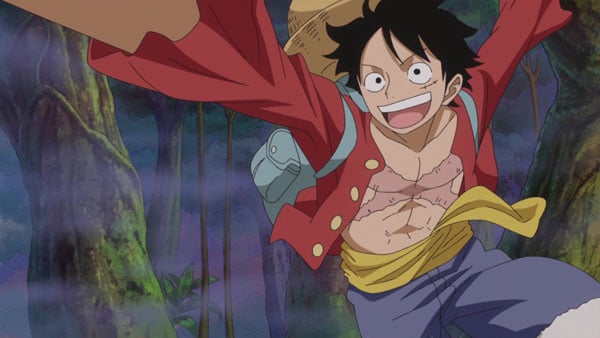 One Piece : Bild