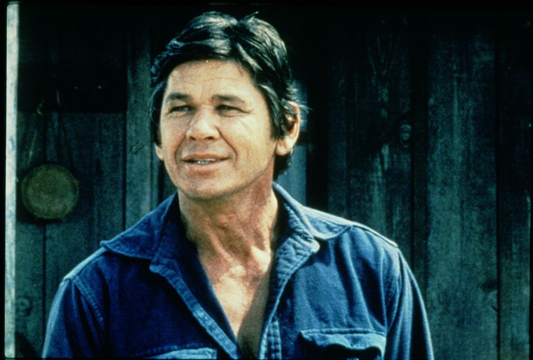 The Meanest Men in the West : Bild Charles Bronson