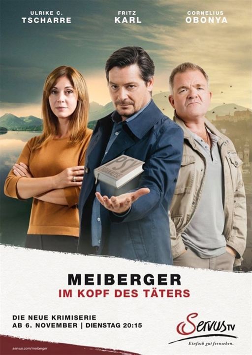 Meiberger - Im Kopf des Täters : Kinoposter