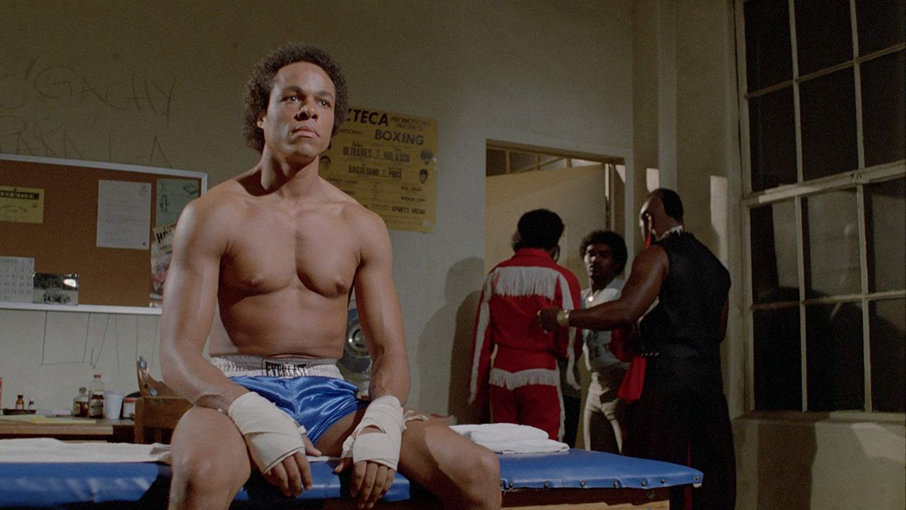 Black City Tiger : Bild