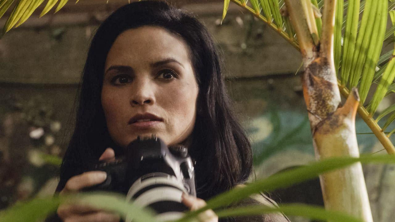 Hawaii Five-0 : Bild Katrina Law