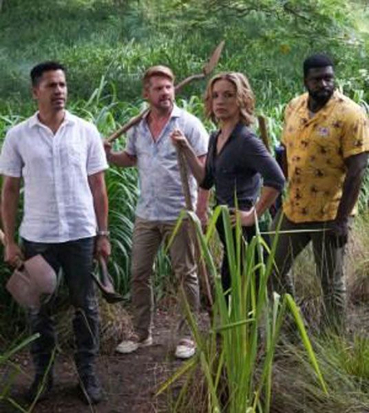 Magnum, P.I. (2018) : Bild Jay Hernandez, Perdita Weeks, Zachary Knighton, Stephen Hill (VII)