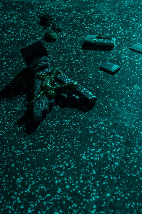 Growl - Er riecht deine Angst : Bild