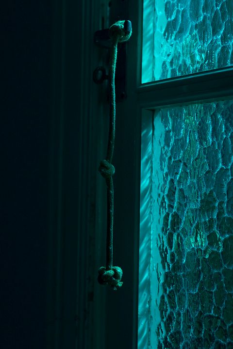 Growl - Er riecht deine Angst : Bild