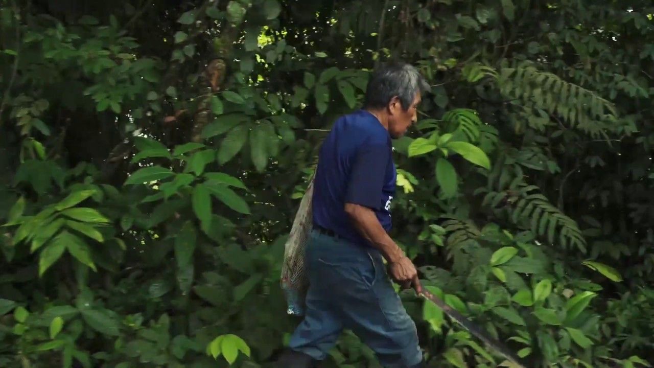 Tierra adentro : Bild