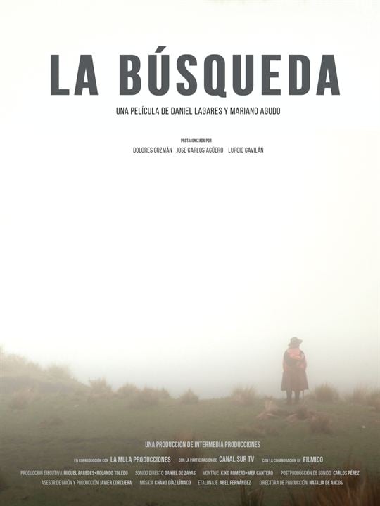 La Búsqueda : Kinoposter