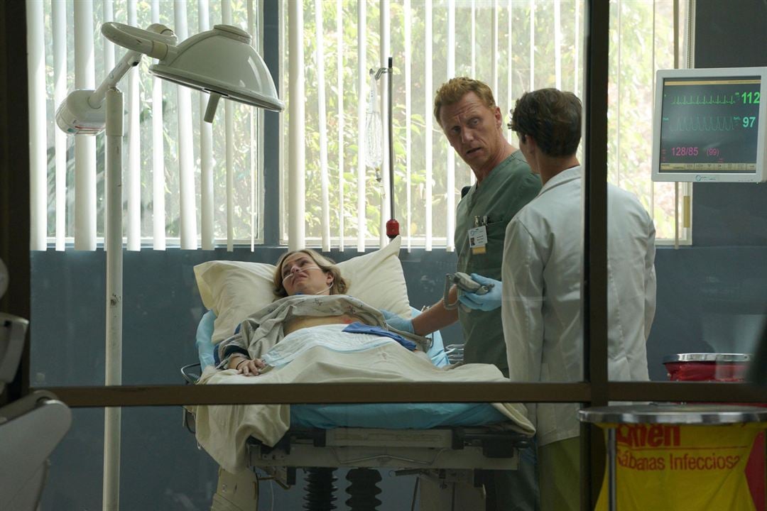 Grey's Anatomy - Die jungen Ärzte : Bild Kevin McKidd, Hayley Chase