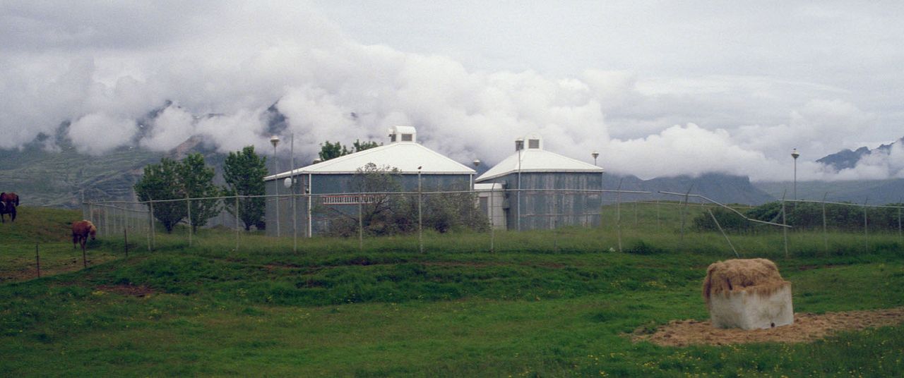 Weißer weißer Tag : Bild