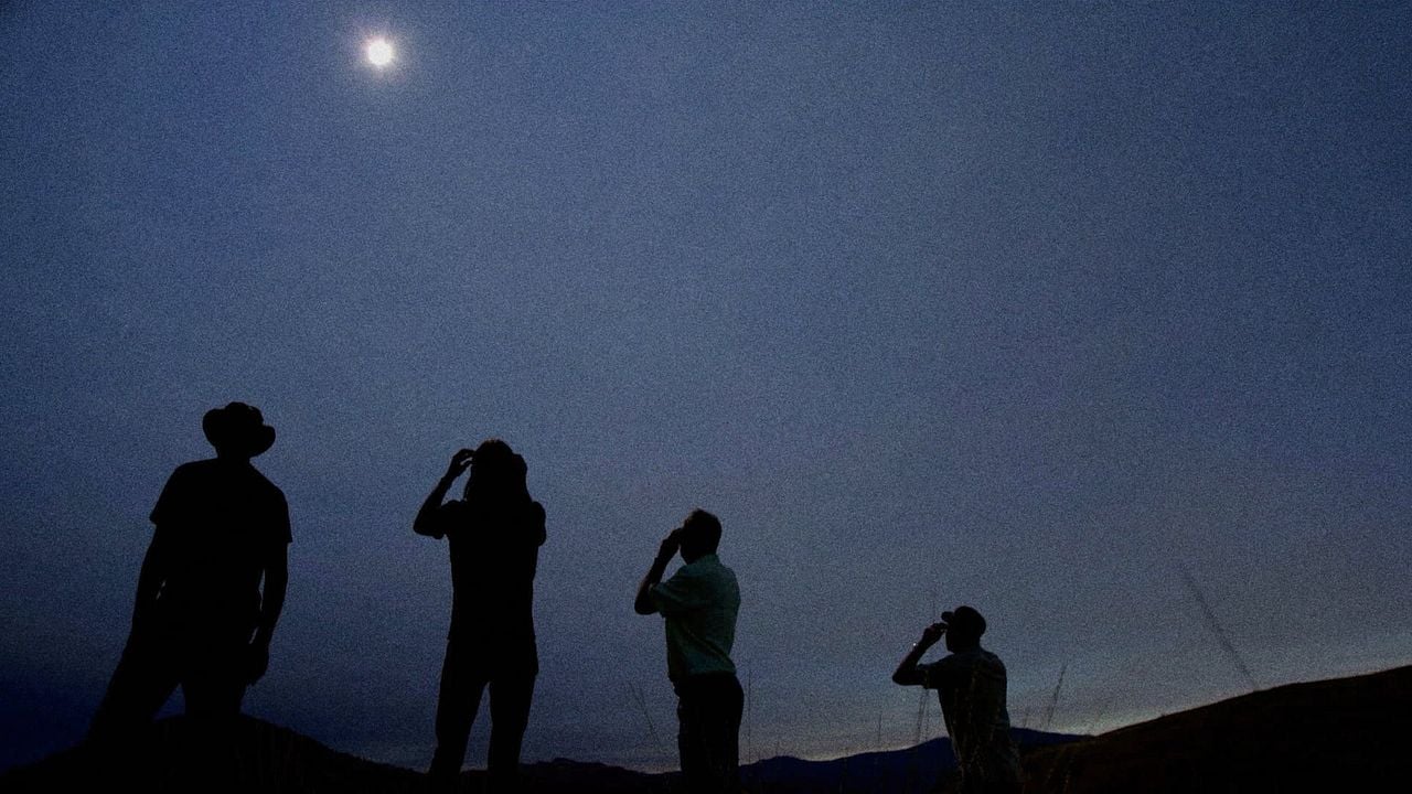 Chasing Einstein : Bild