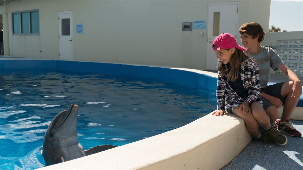 Bernie, der Delfin : Bild Lola Sultan