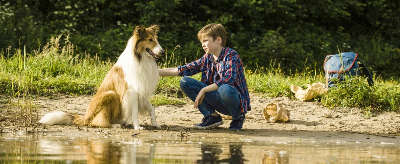 Lassie - Eine abenteuerliche Reise : Bild Nico Marischka