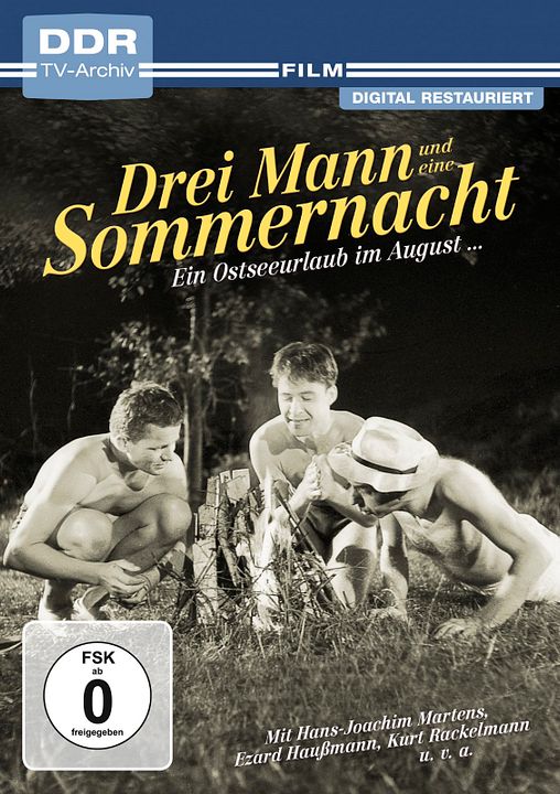 Drei Mann und eine Sommernacht : Kinoposter