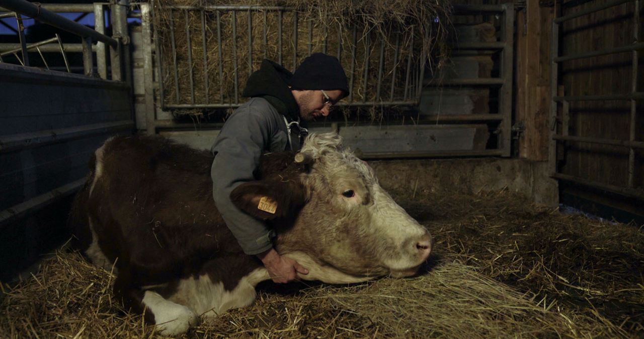 Cyrille, agriculteur, 30 ans, 20 vaches, du lait, du beurre, des dettes : Bild