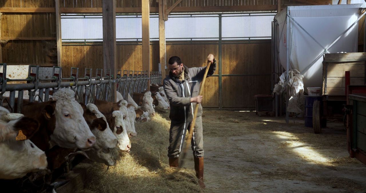 Cyrille, agriculteur, 30 ans, 20 vaches, du lait, du beurre, des dettes : Bild