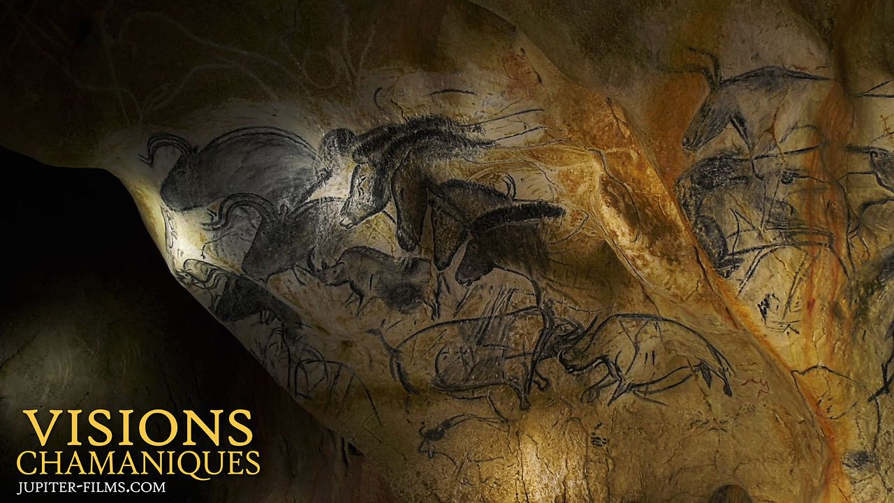 Visions Chamaniques : territoires oubliés : Bild