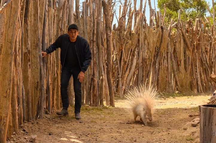 Rendez-vous Chez Les Malawas : Bild Ramzy Bedia