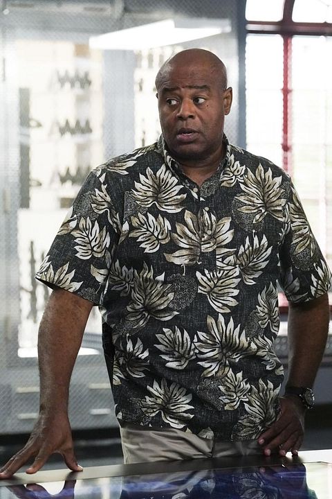 Hawaii Five-0 : Bild Chi McBride