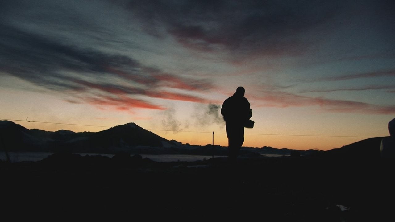 Plötzlich Heimweh : Bild