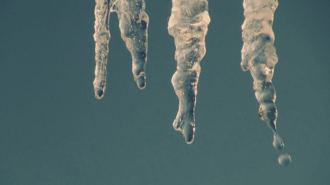 Plötzlich Heimweh : Bild