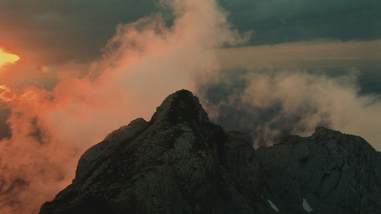 Plötzlich Heimweh : Bild