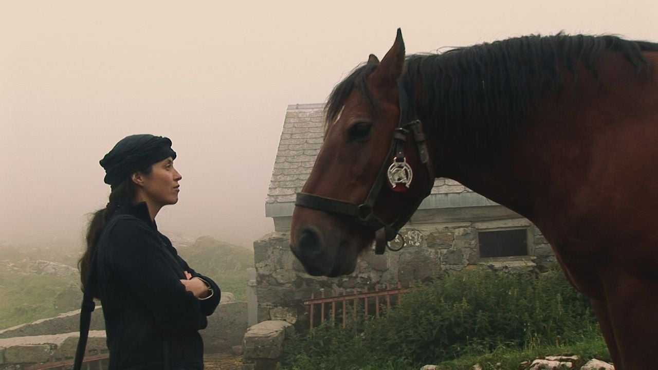 Plötzlich Heimweh : Bild