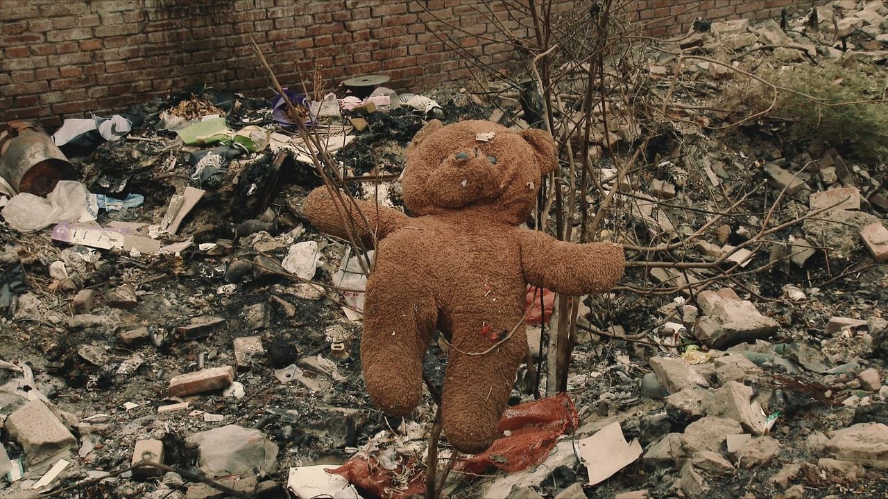 Plötzlich Heimweh : Bild