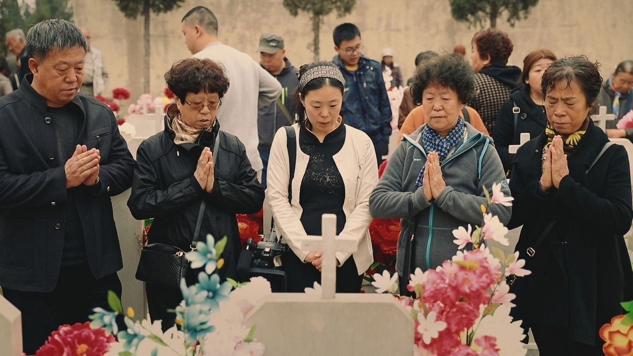 Plötzlich Heimweh : Bild